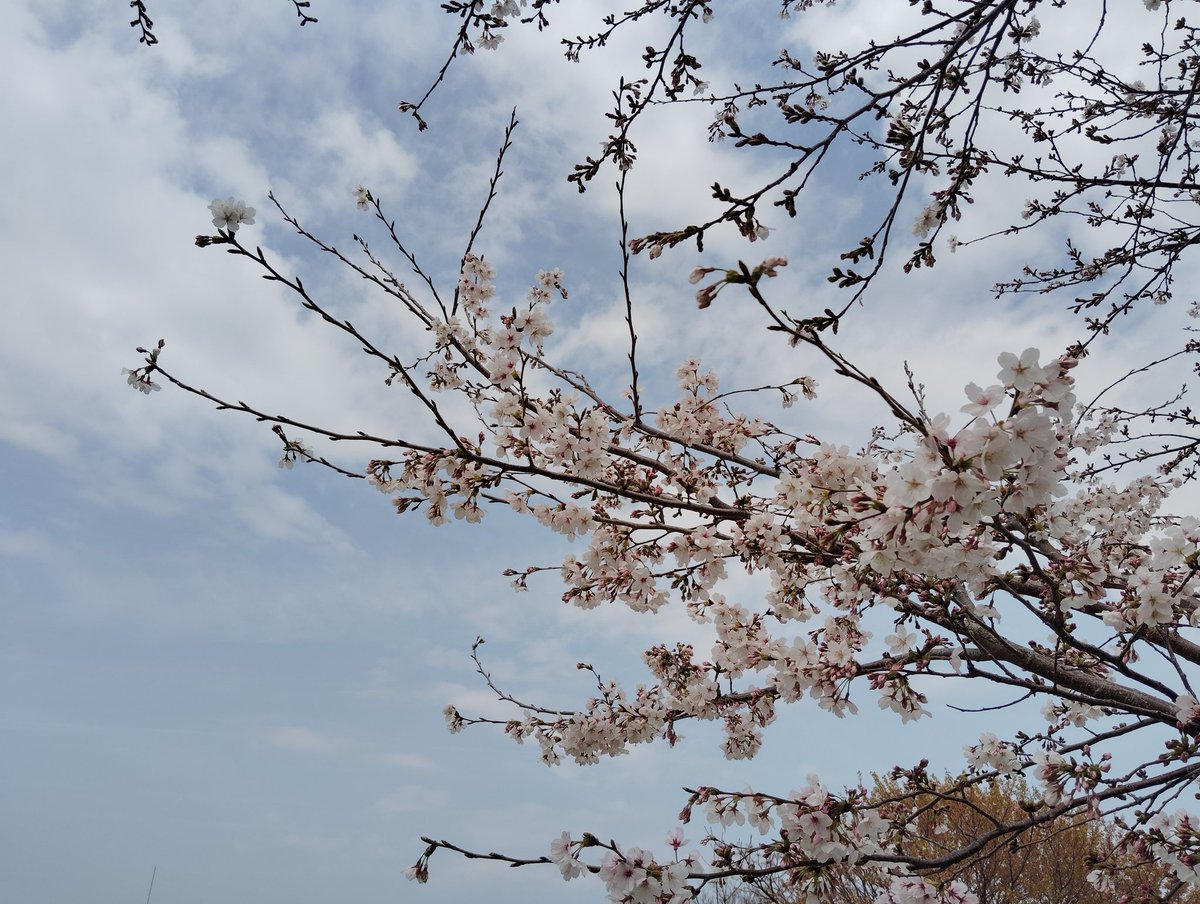 カナガワTM364/湘南Es364 tweet media