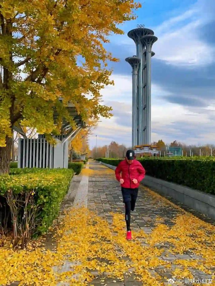 paula ruggeri tweet media