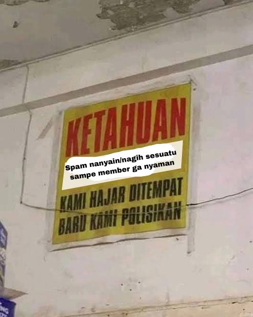 Sakura. 🌪️ tweet media