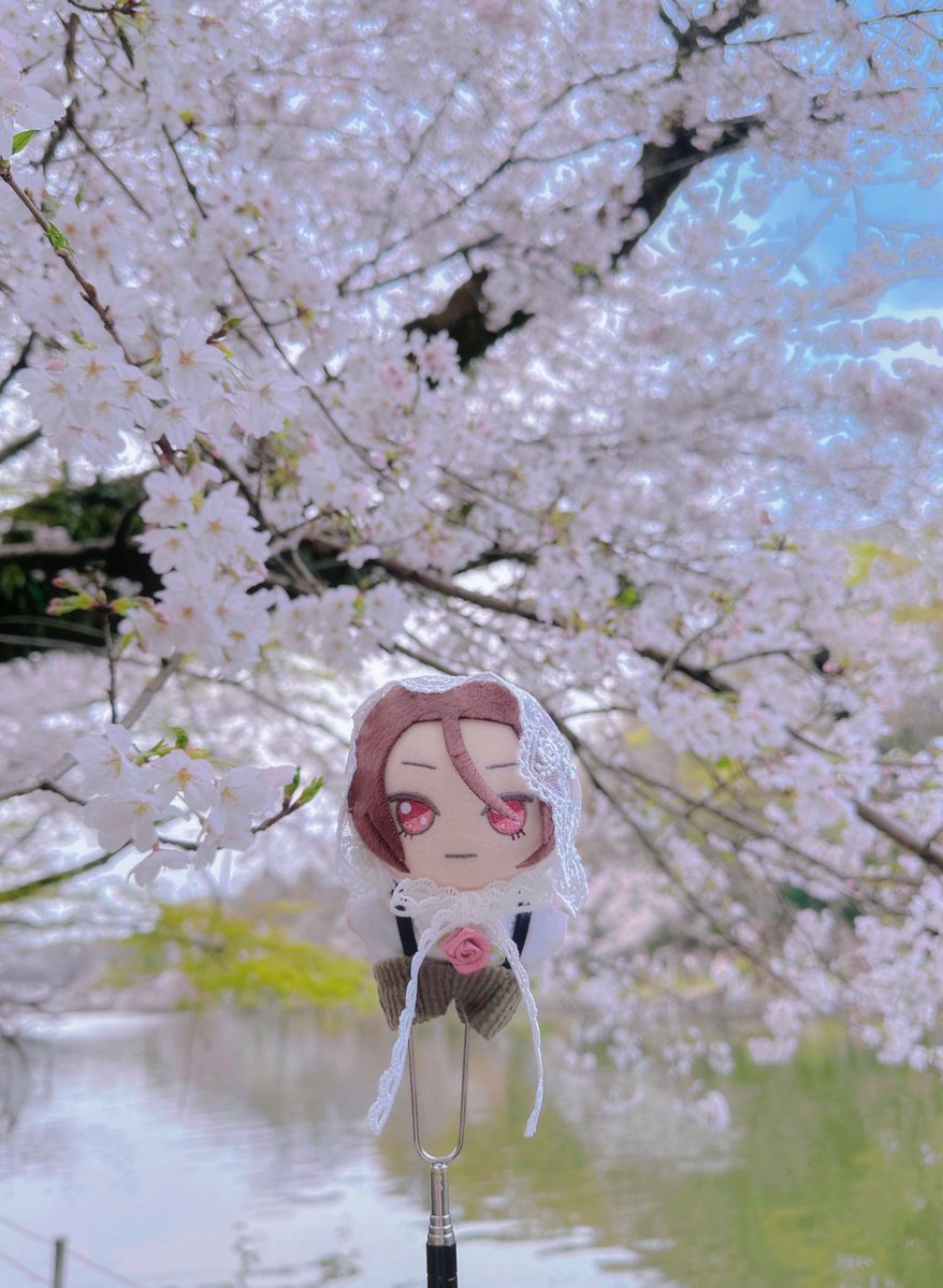 𝒩𝓊𝒾 𝓃ℴ 𝓈ℴ𝓃ℴ tweet media