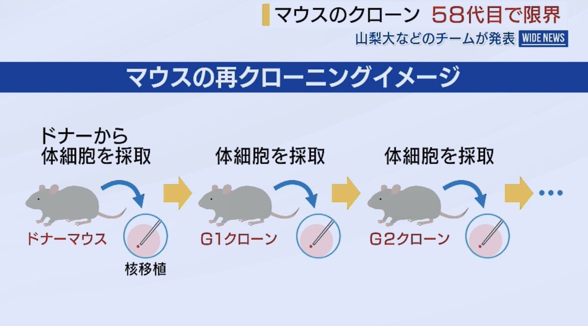 お侍さん tweet media