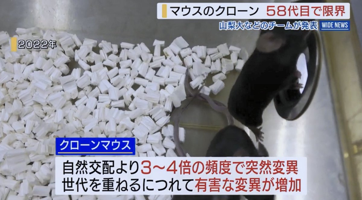 お侍さん tweet media