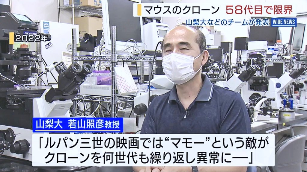 お侍さん tweet media