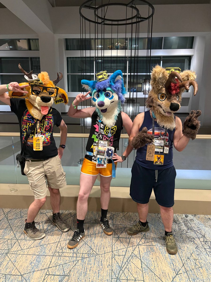 Ashkay at Night tweet media