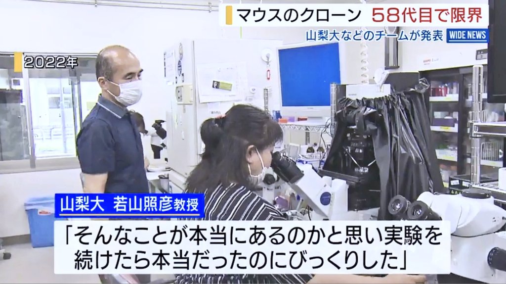 お侍さん tweet media