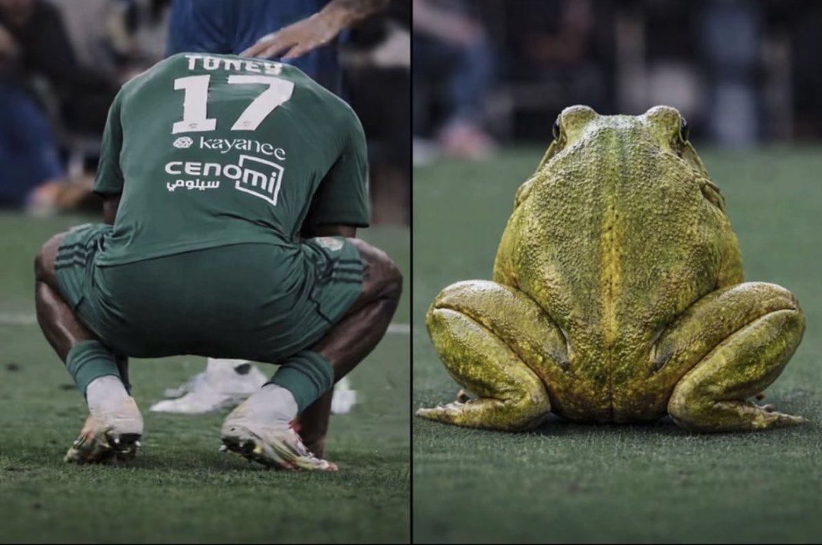 تركي tweet media