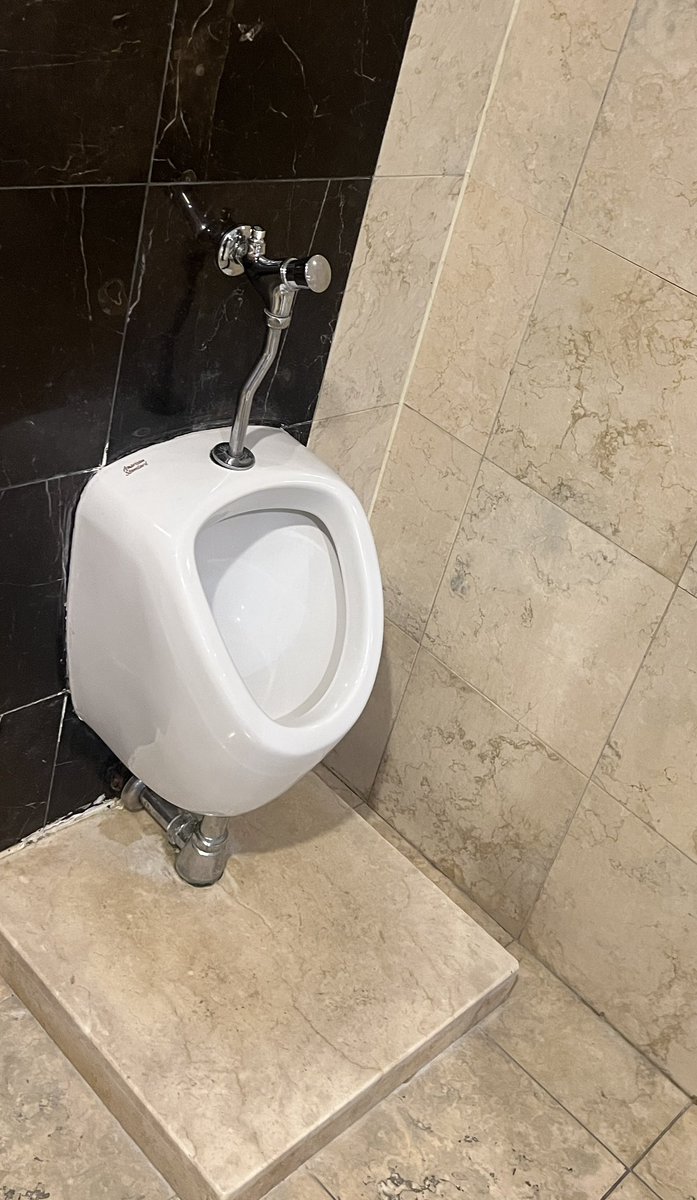 럭키 흰둥이 tweet media