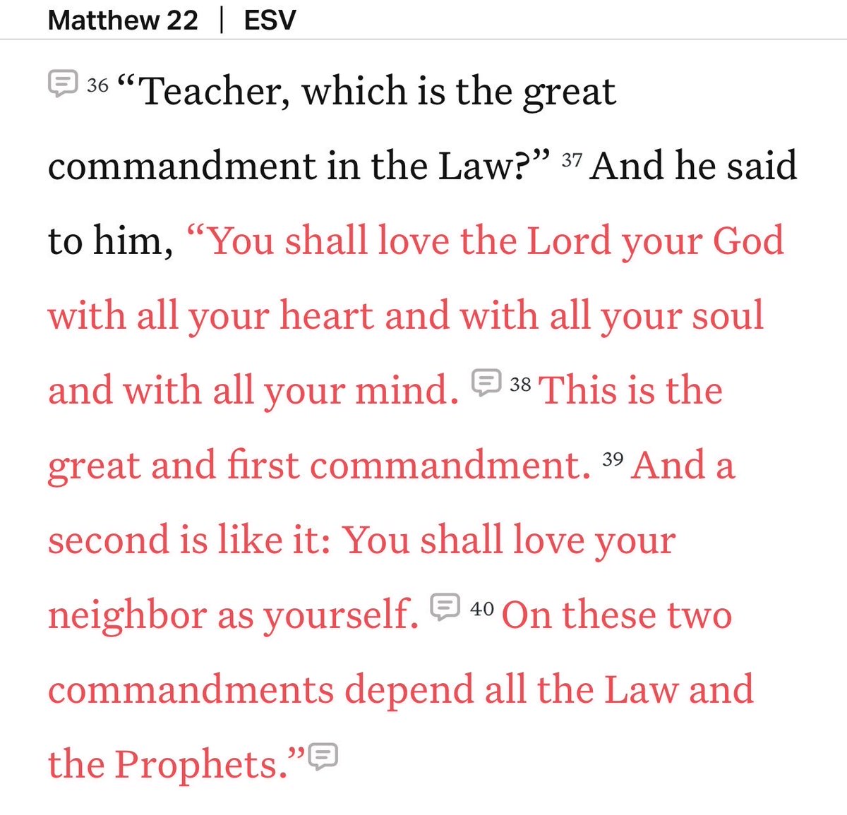 BearSkillz247 tweet media