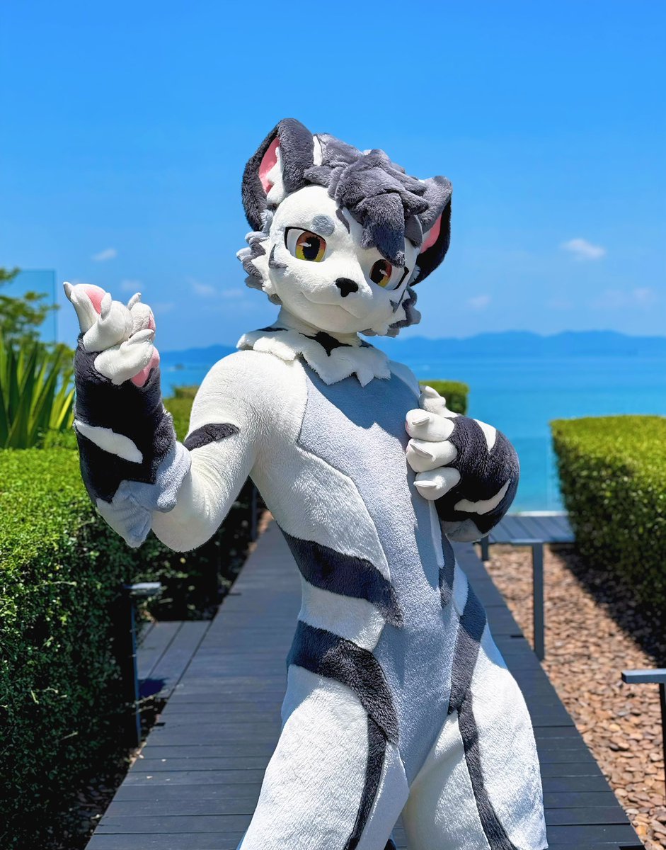 银碳Gintan➡️関西けもケット tweet media