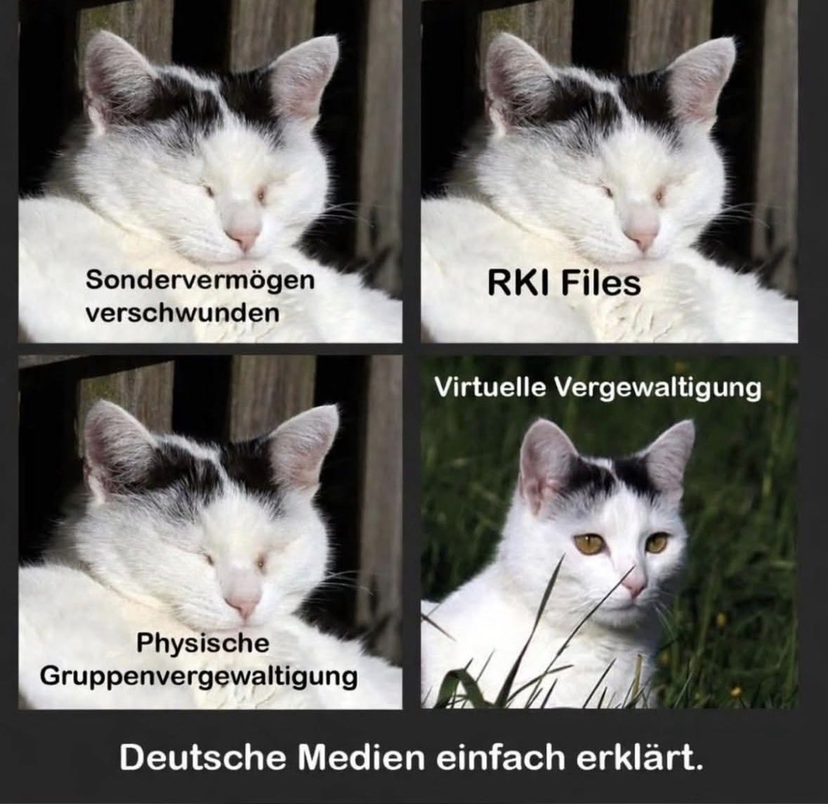 blumenwieseines tweet media