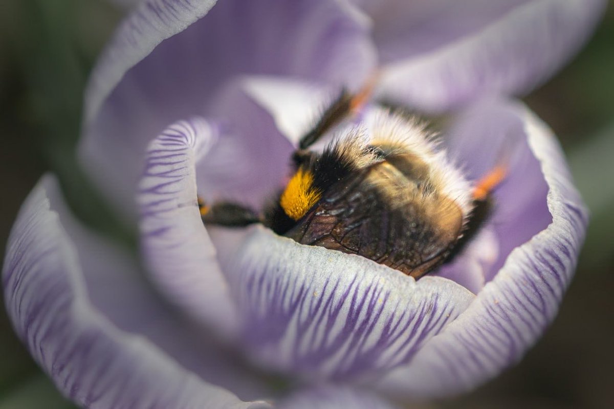 Shaun Pinner tweet media