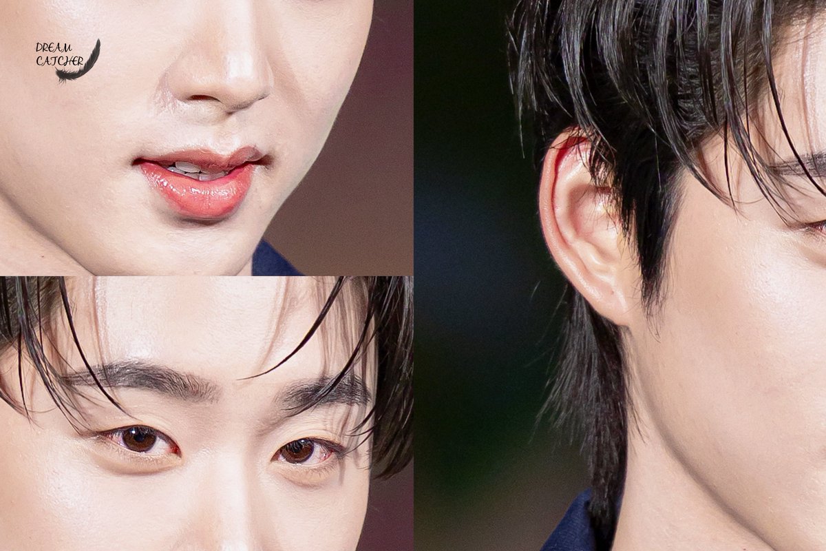 Dreamcatcher tweet media