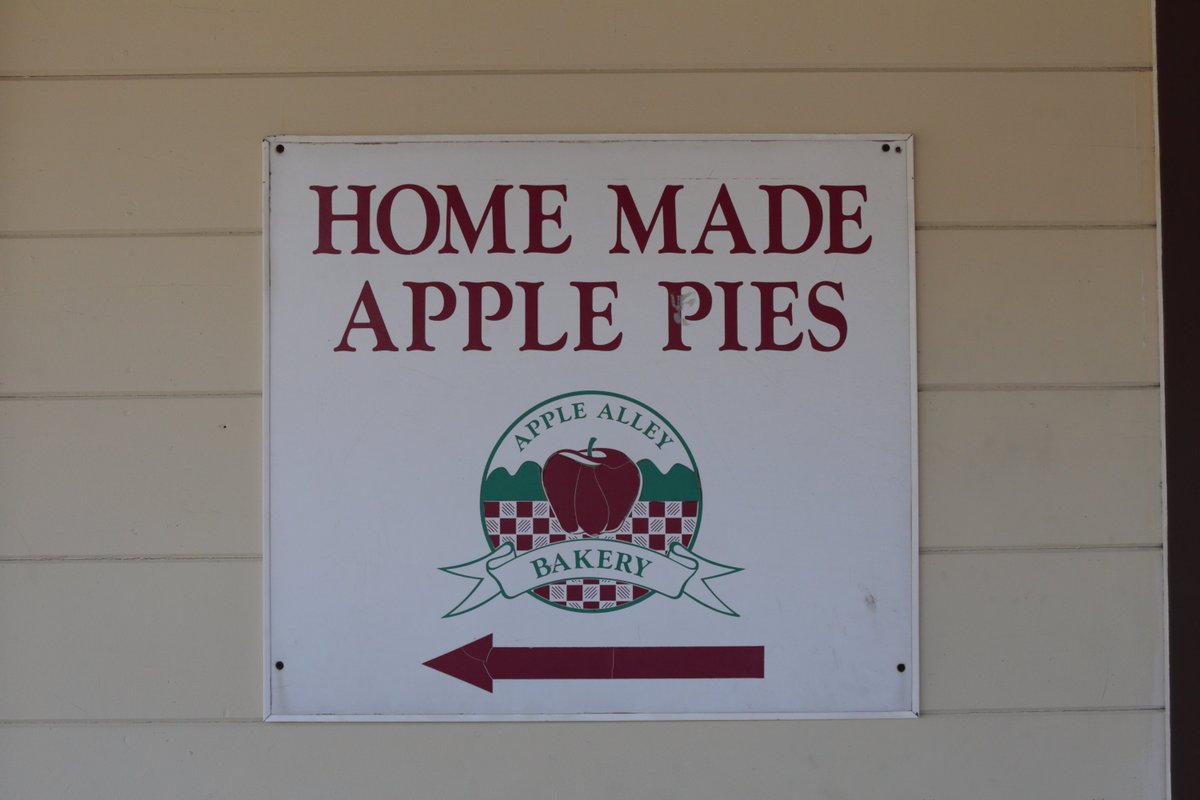 世界のまいにちごはん＠阪口克 tweet media