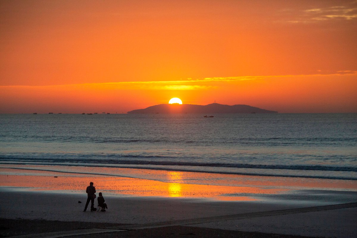 Seva Riot tweet media