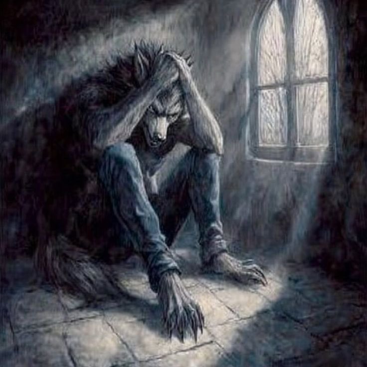 lorry 🌙 tweet media