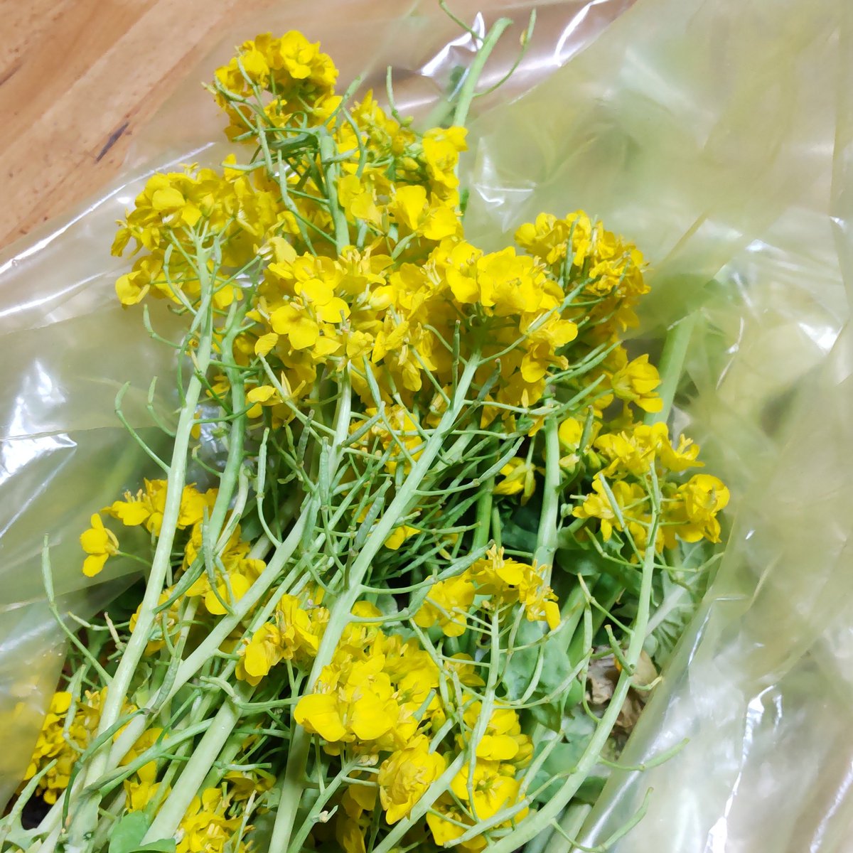 バニラ 린린🐱我爱你🫶💗 tweet media