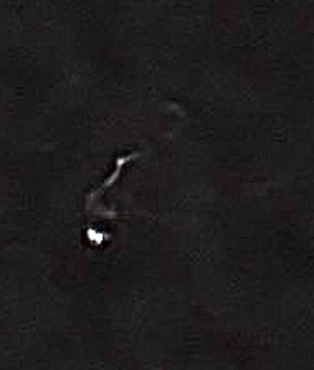 Stephanie tweet media