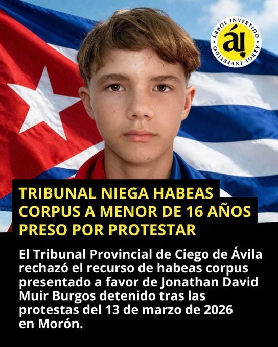 AGUSTIN SANCHEZ GZALEZ tweet media