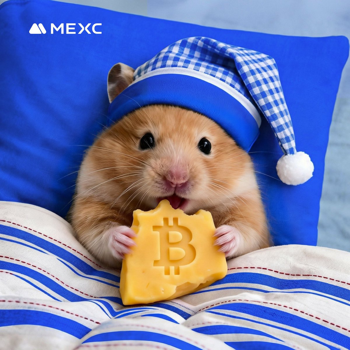 MEXC South Asia tweet media