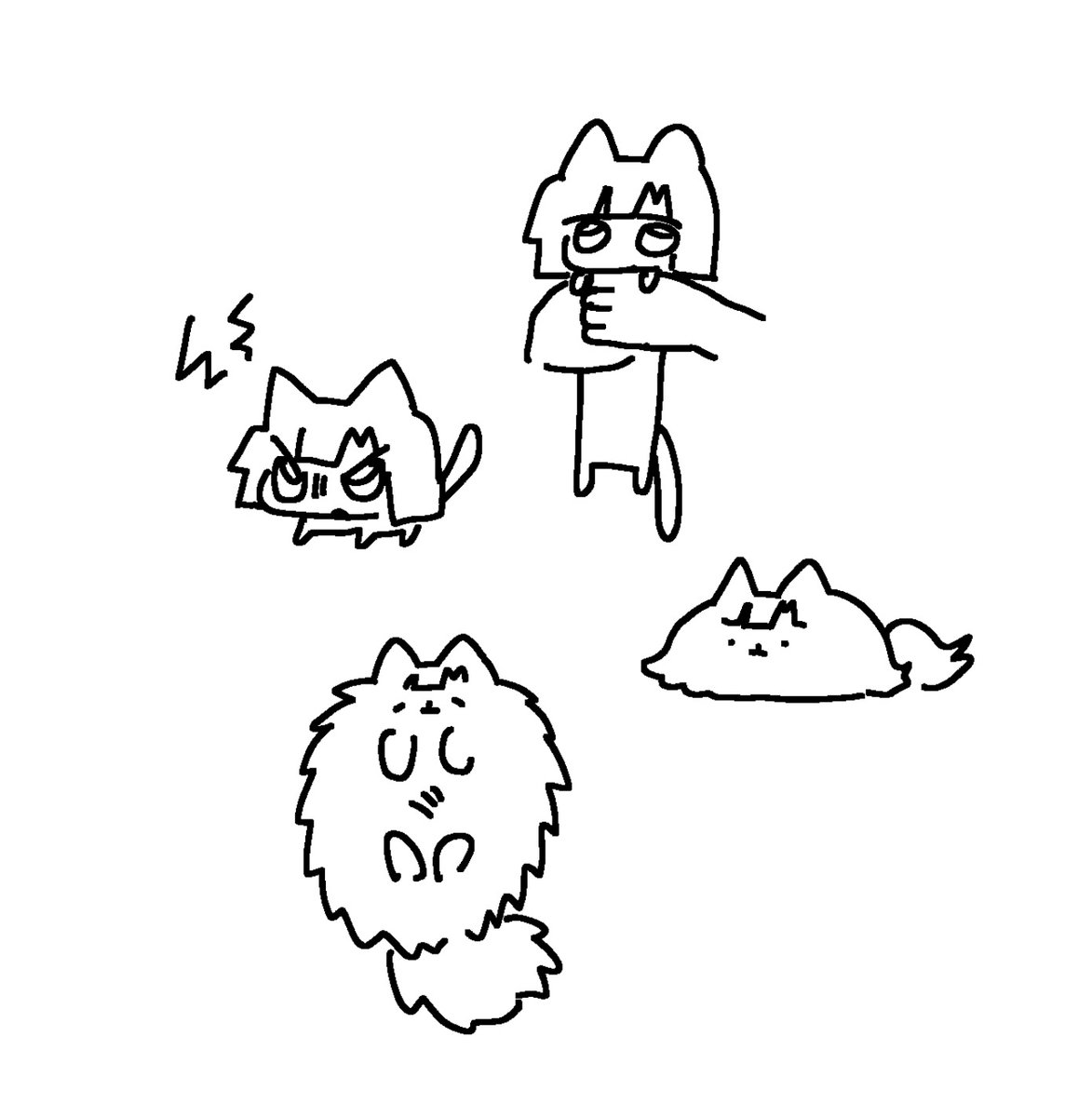 토마토 tweet media