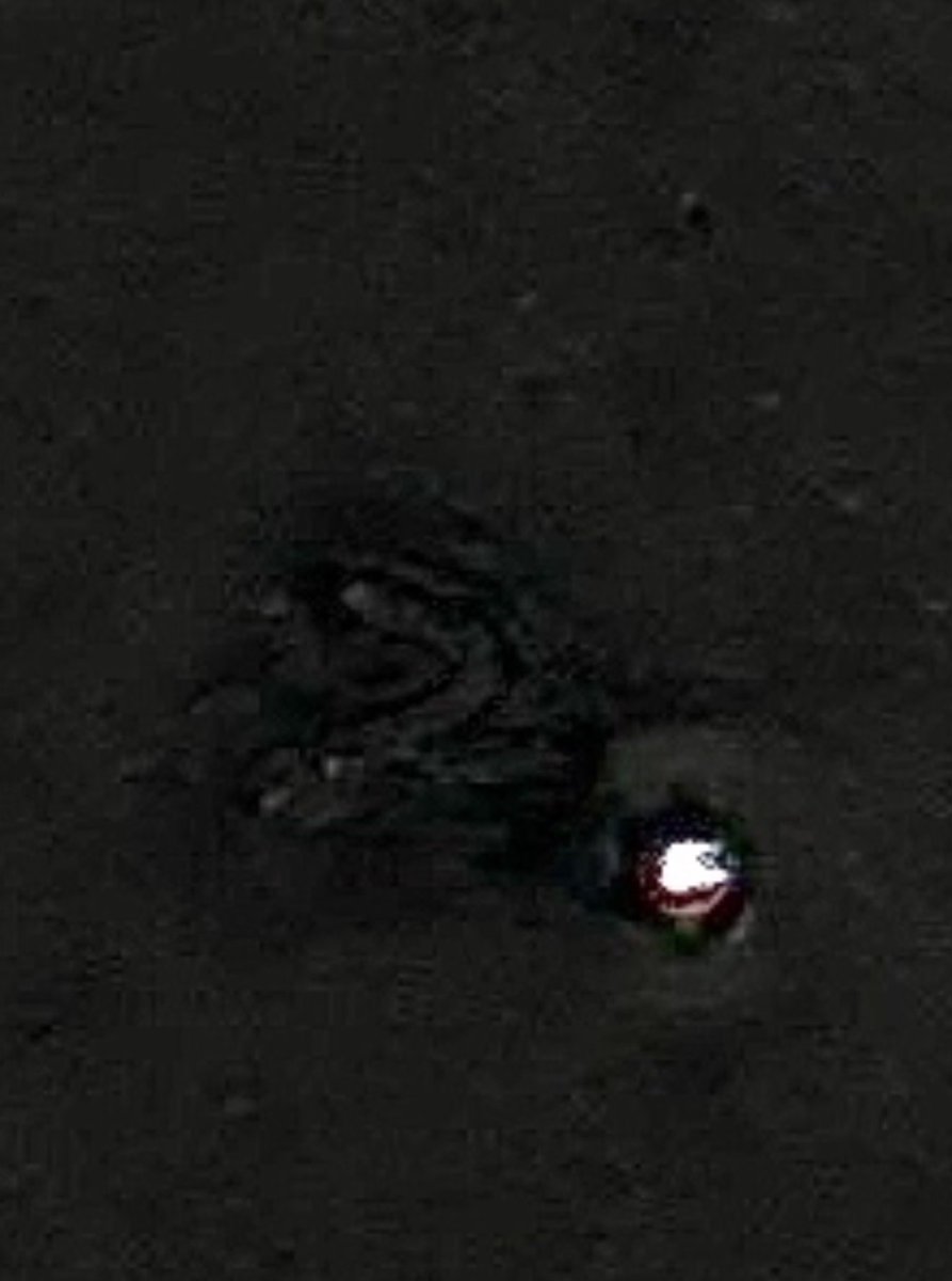 Stephanie tweet media