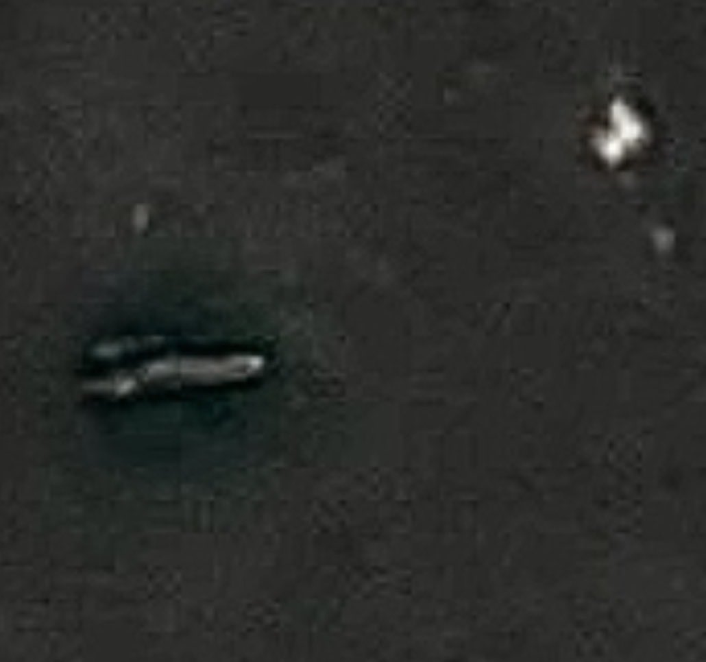 Stephanie tweet media