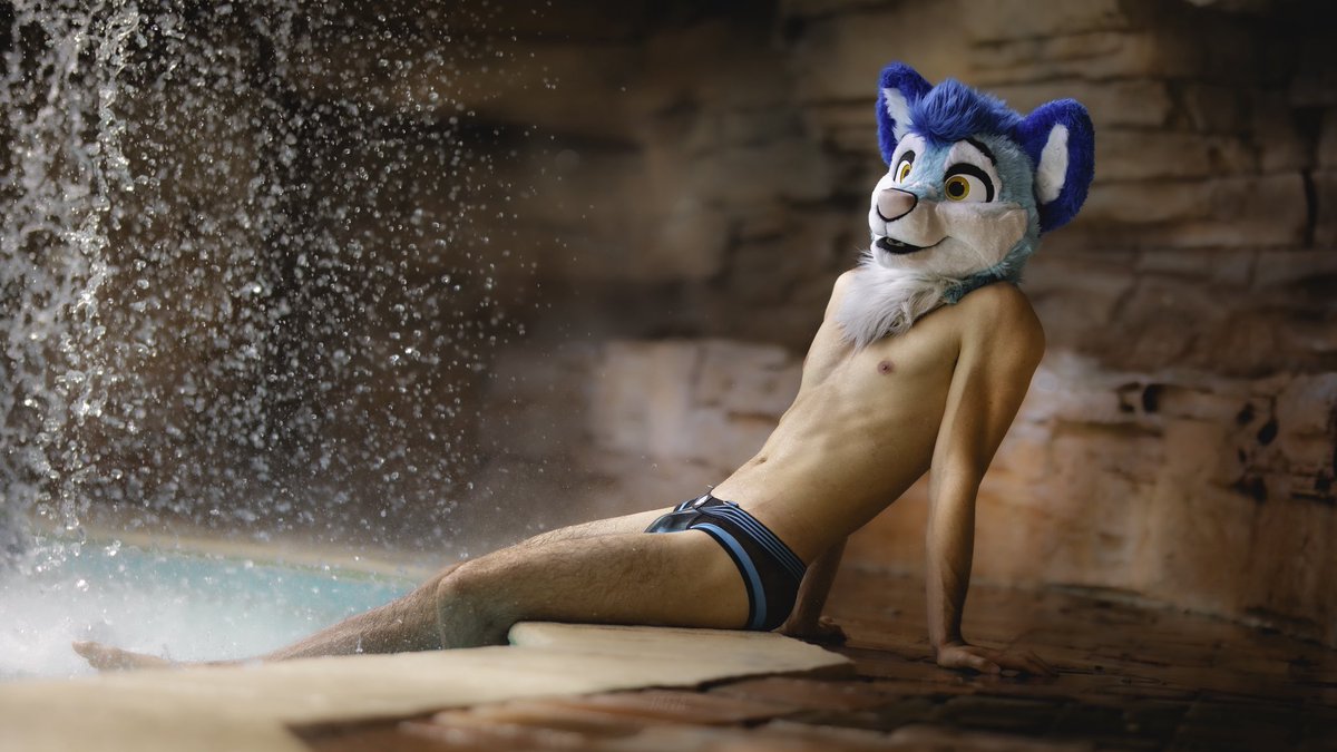 Fluke Husky 🤍 tweet media