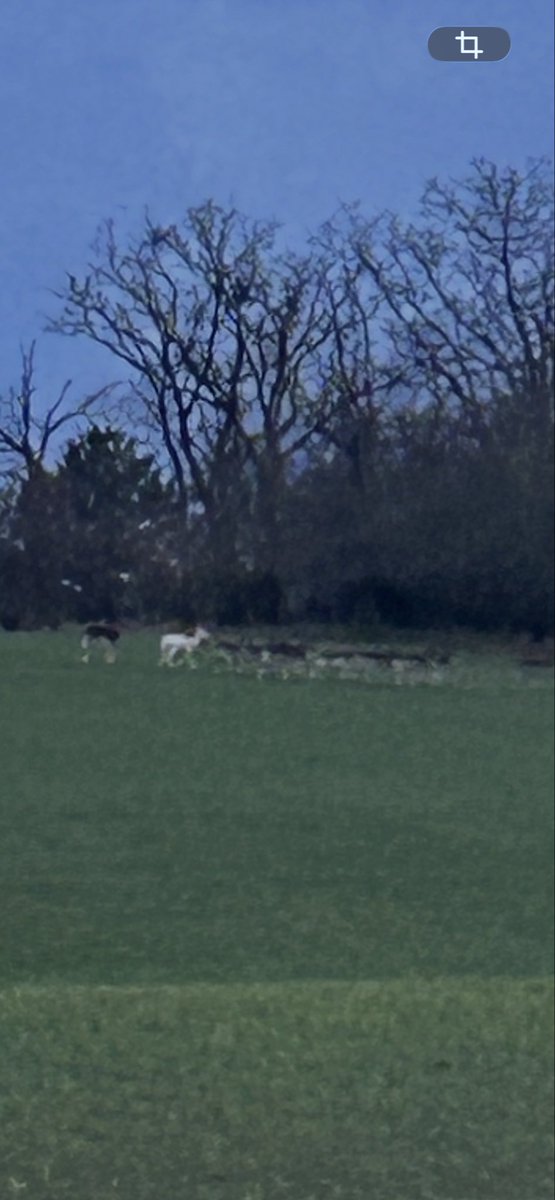 LaVidaDeSantiago tweet media