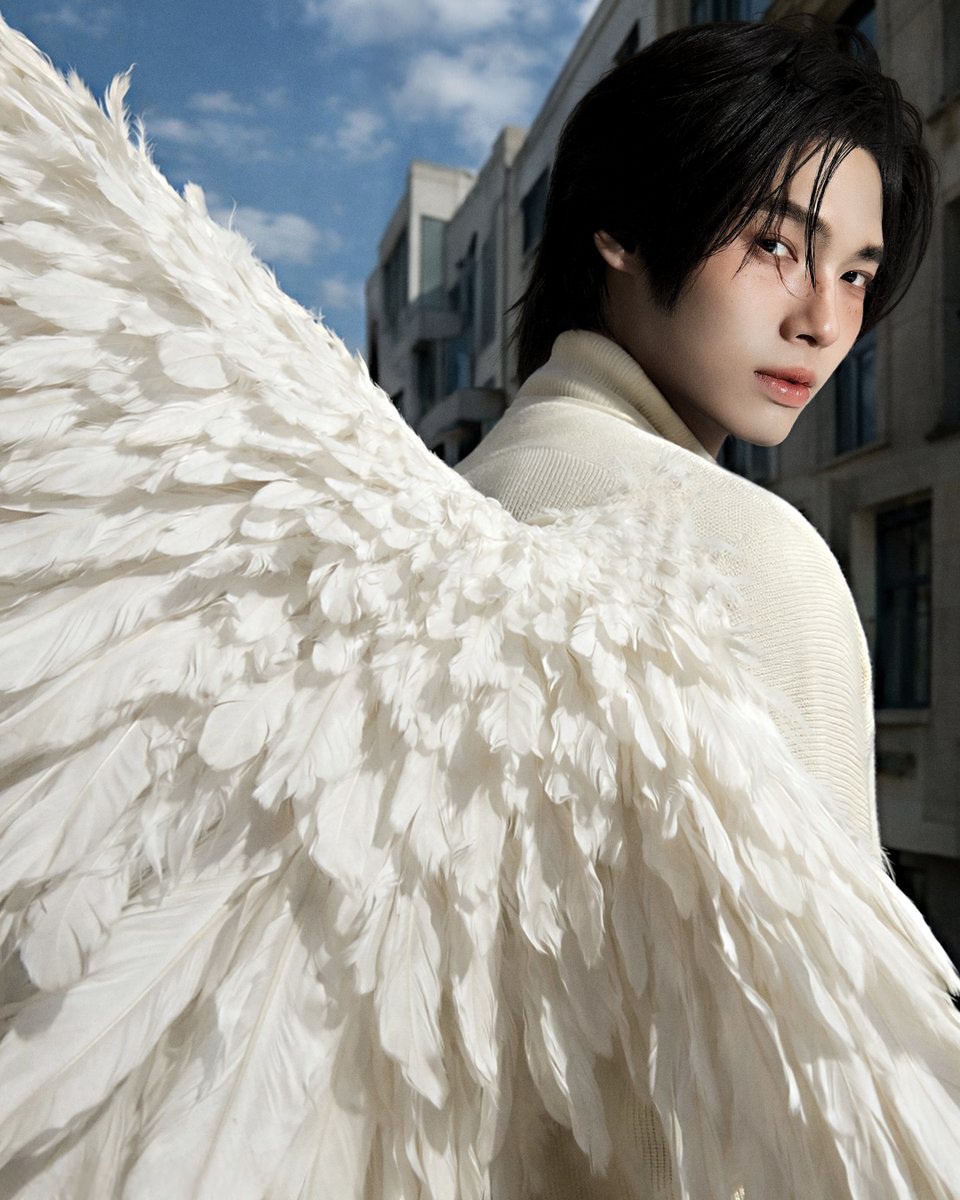 win pics tweet media