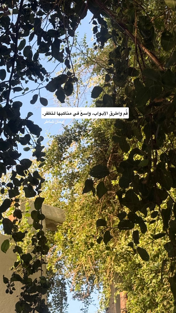 قُم واطرقِ الأبواب، واسعَ في مناكبها لتظفر.

 #صباح_الروقان