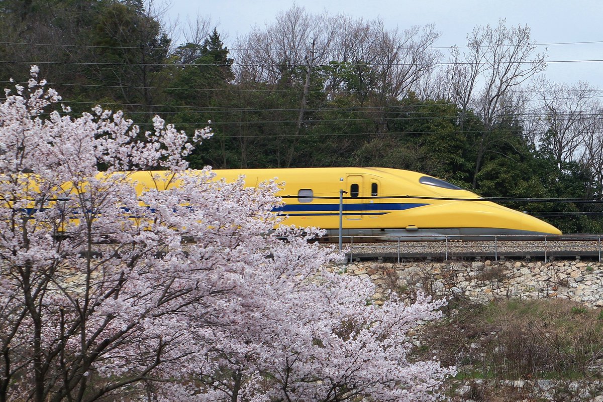 こてつ tweet media