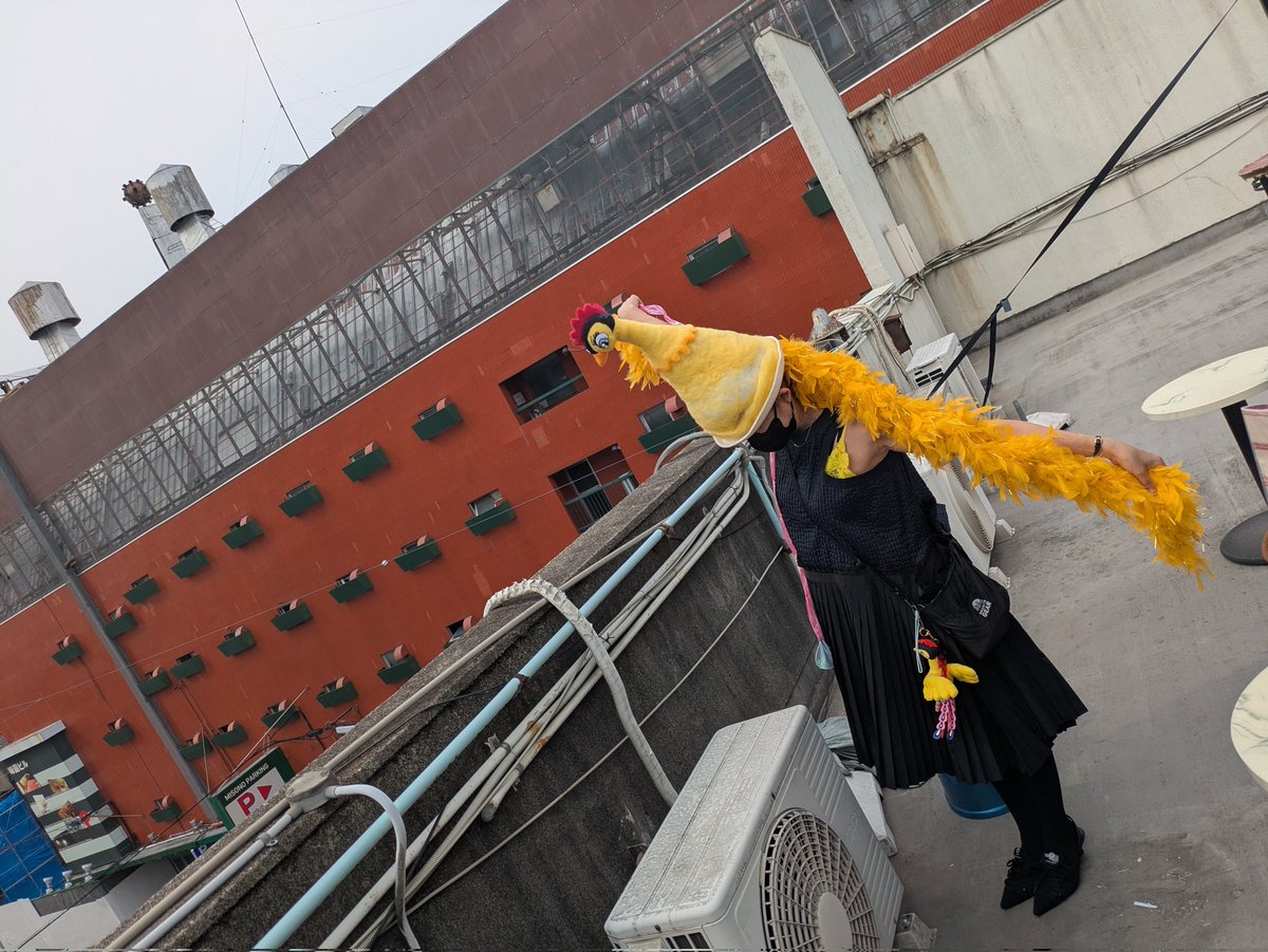 ブリティッシュバタードッグ tweet media