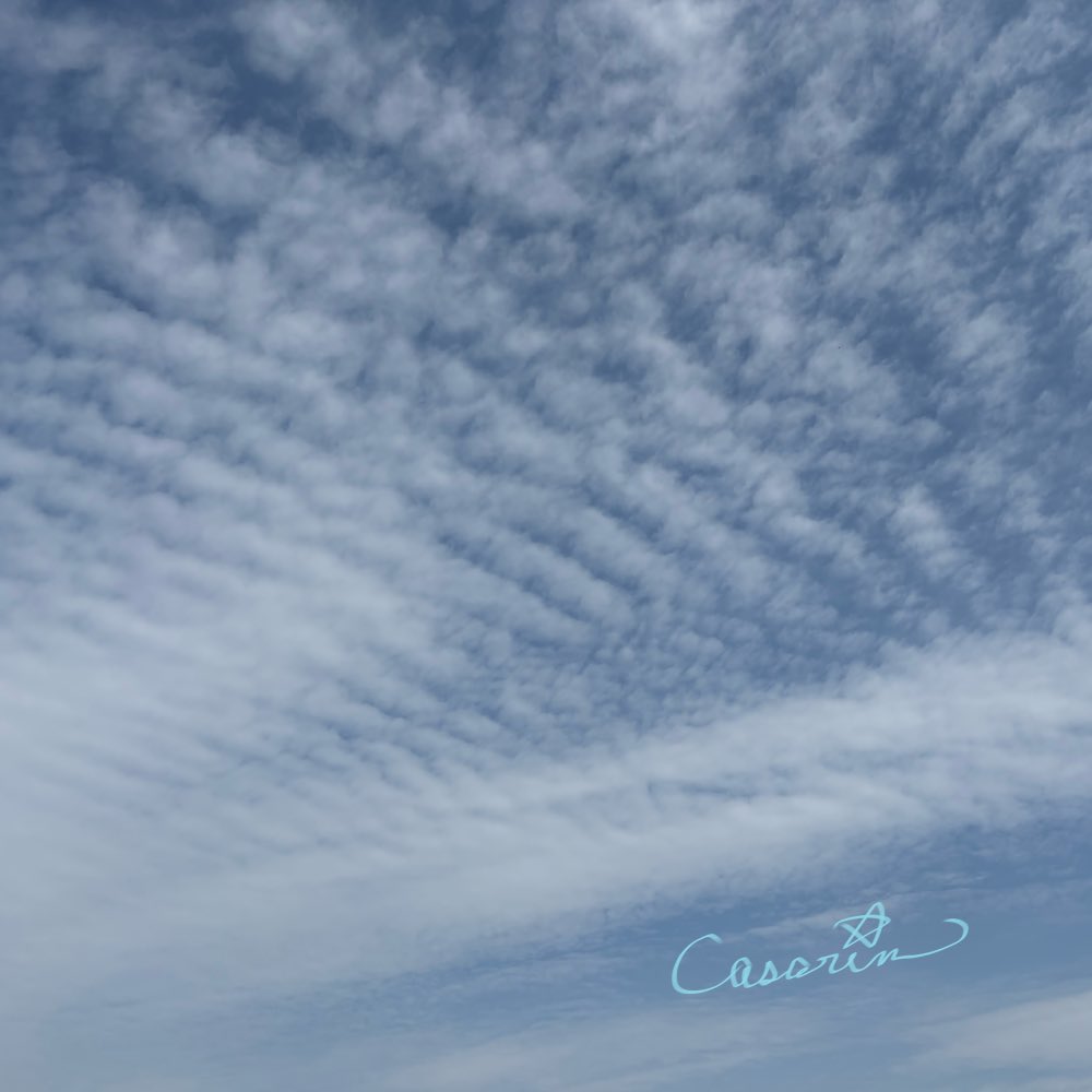 キャサリン*·̩͙𓈒𓂂𓏸❁¨̮ෆ˚* tweet media