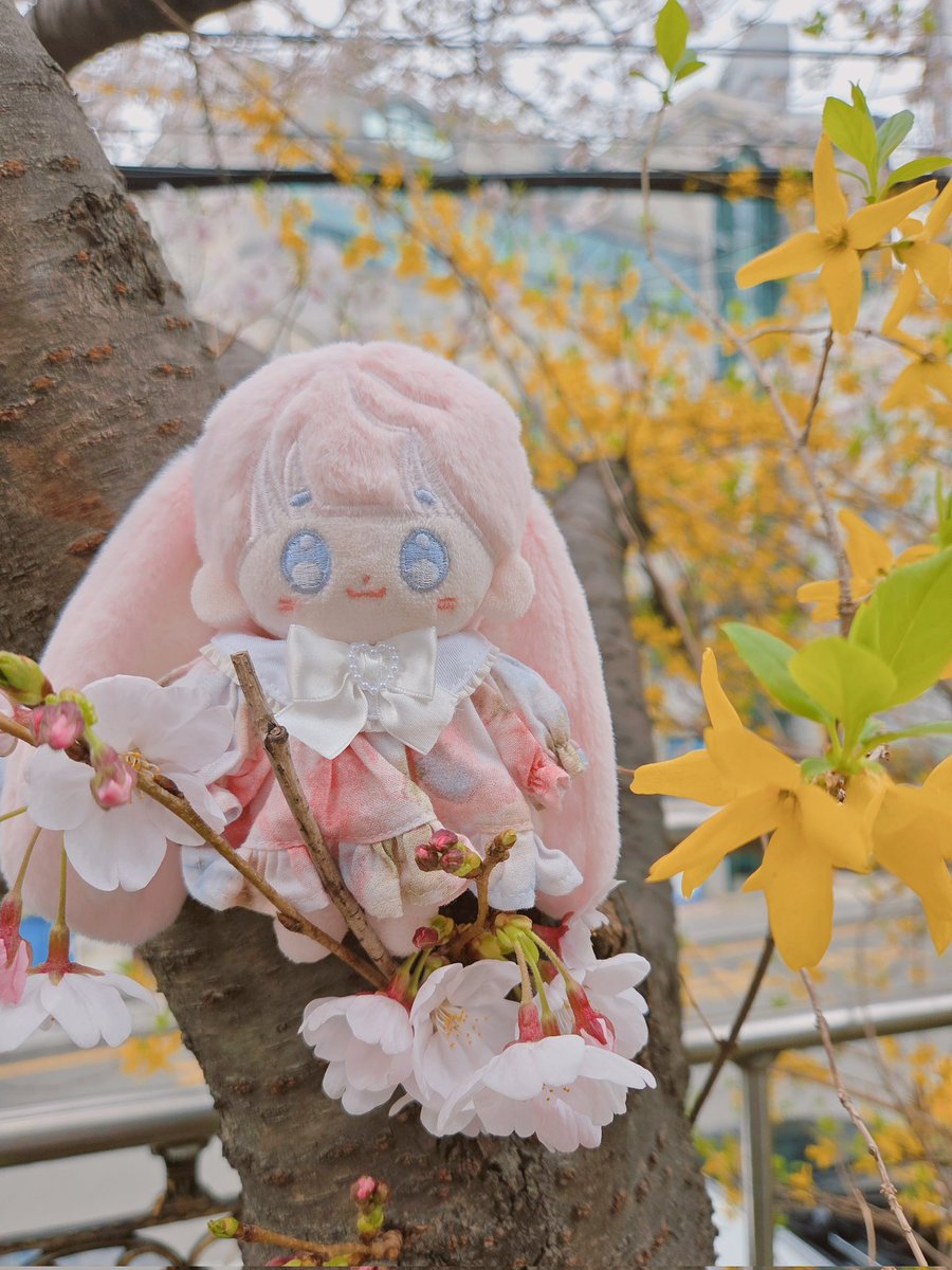 리둘💙 tweet media