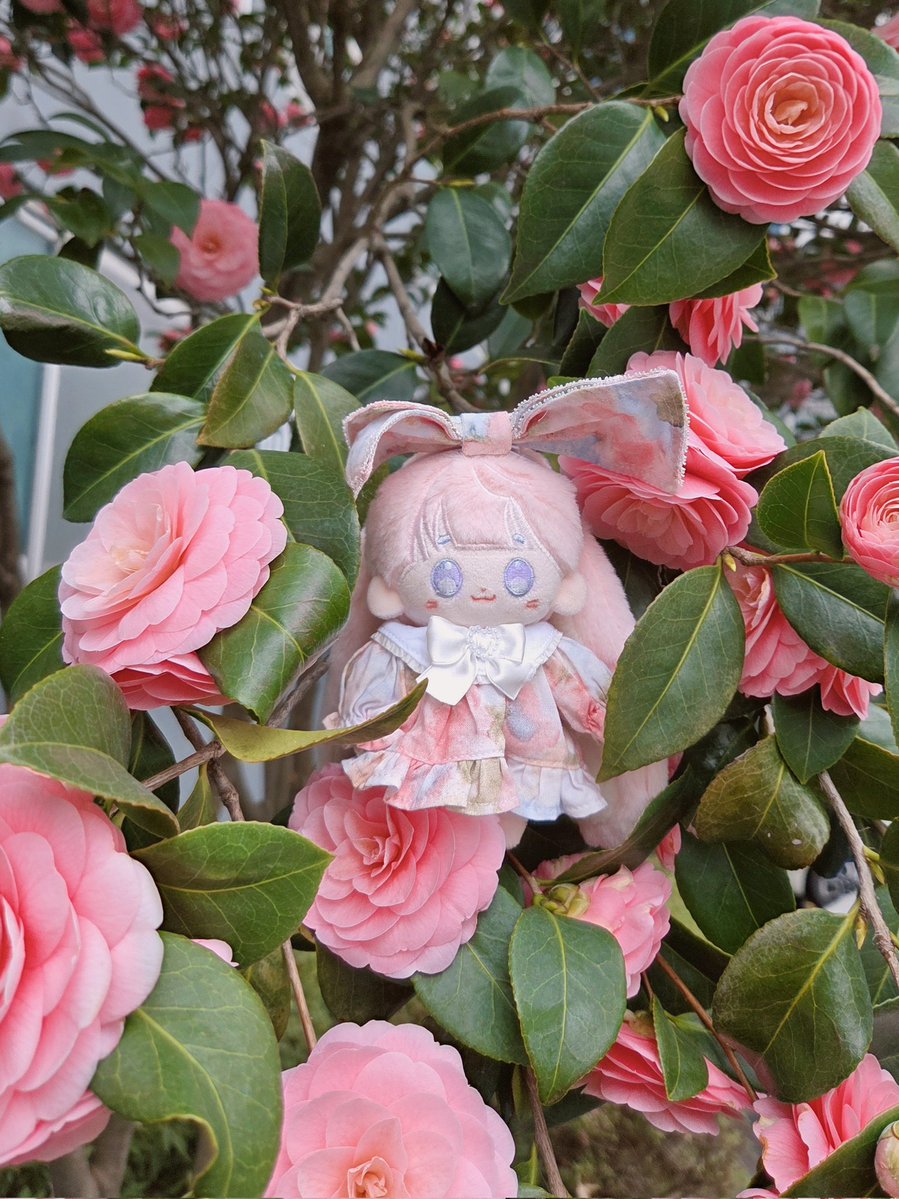 리둘💙 tweet media