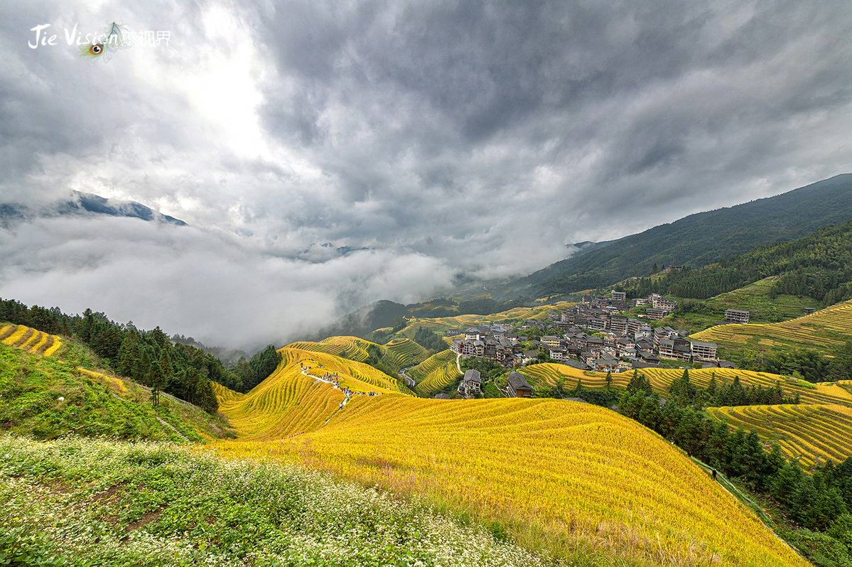 George Ostmenn tweet media