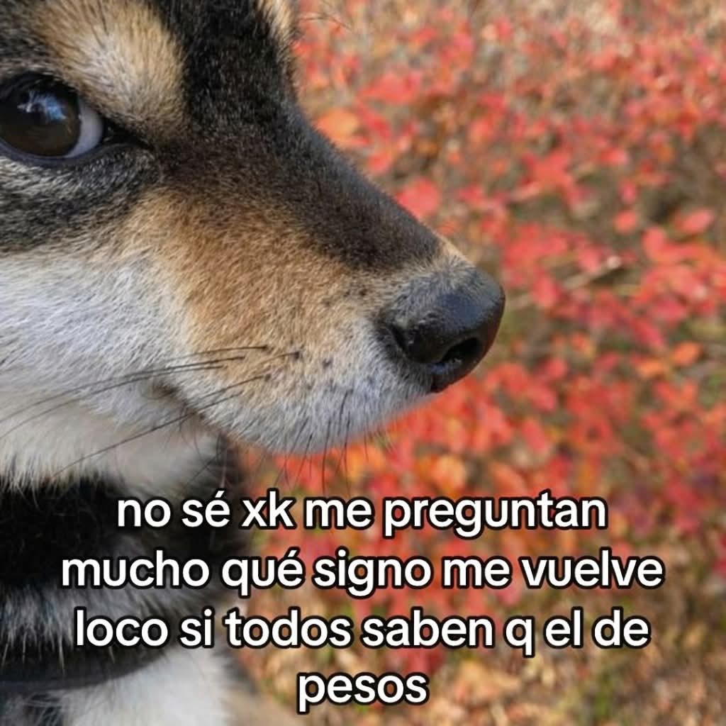 Cap Briagowsky tweet media