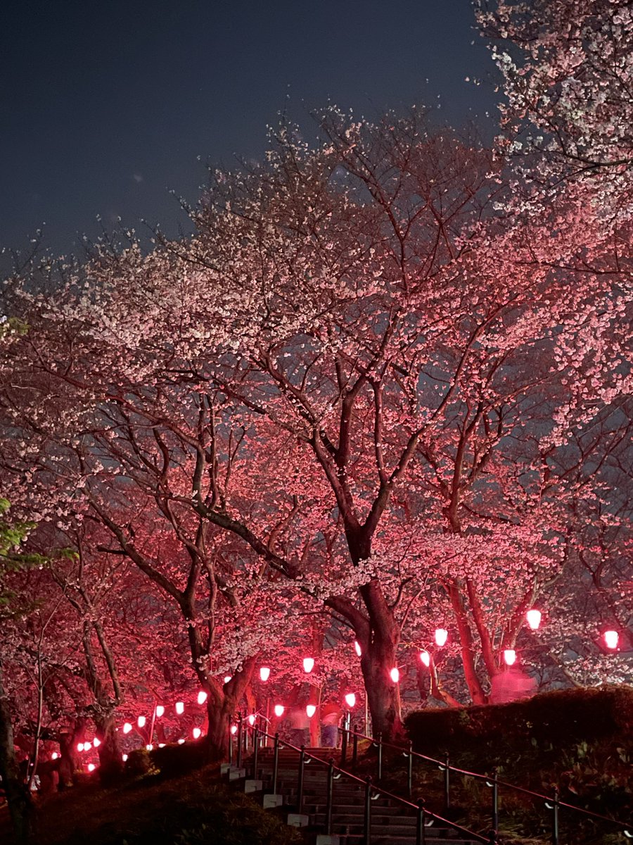 keenyann(キーニャン) tweet media