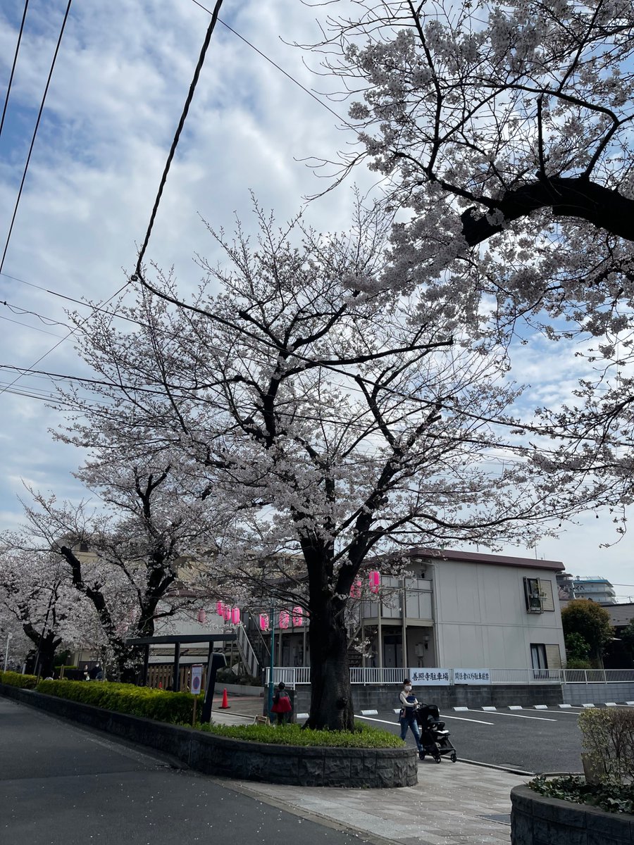 Kachitomo tweet media