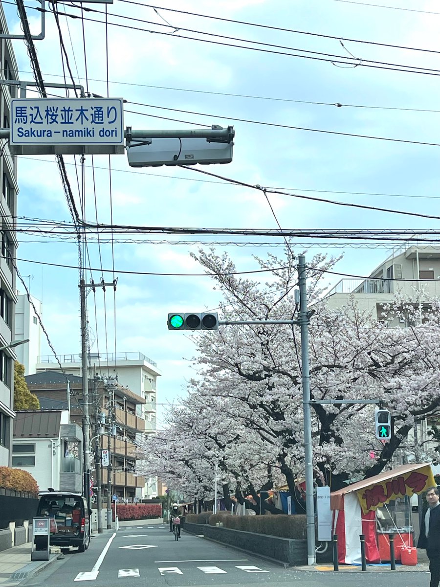 Kachitomo tweet media