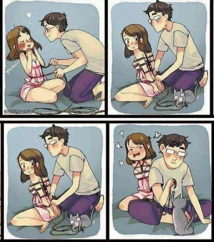 The problem with wanting to "have fun" but you have a cat that wants to be near you 24/7...XD