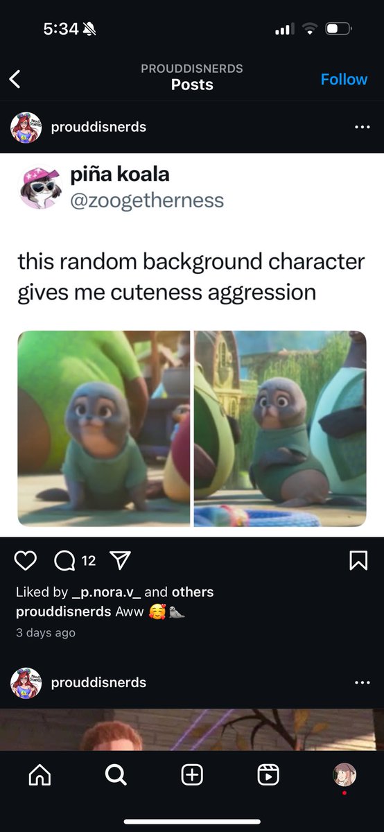 piña koala tweet media