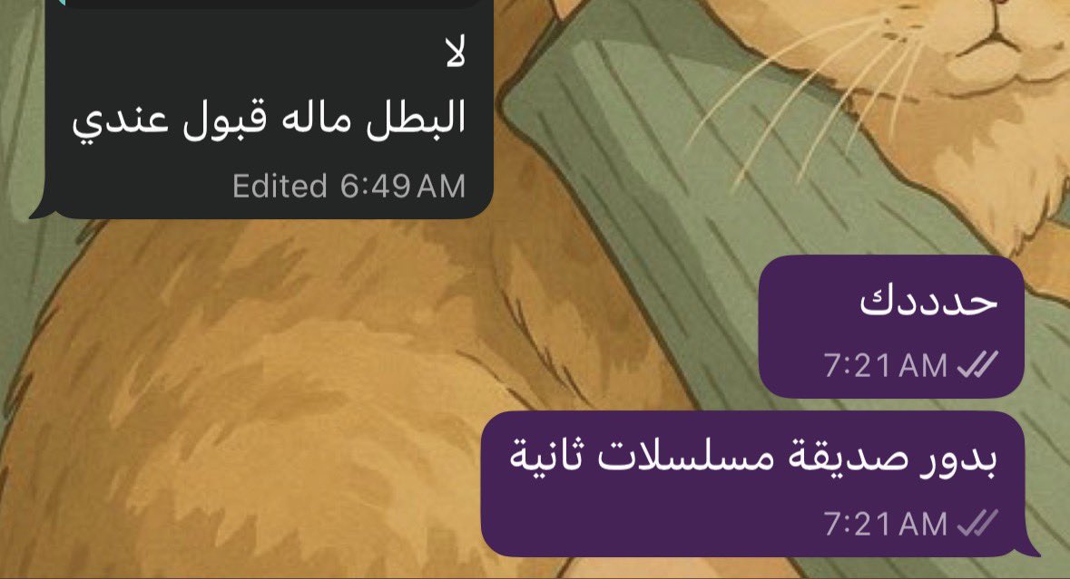 NOURA MOHAMMED tweet media