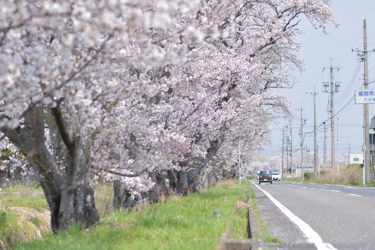 きたちゃん🐉 tweet media