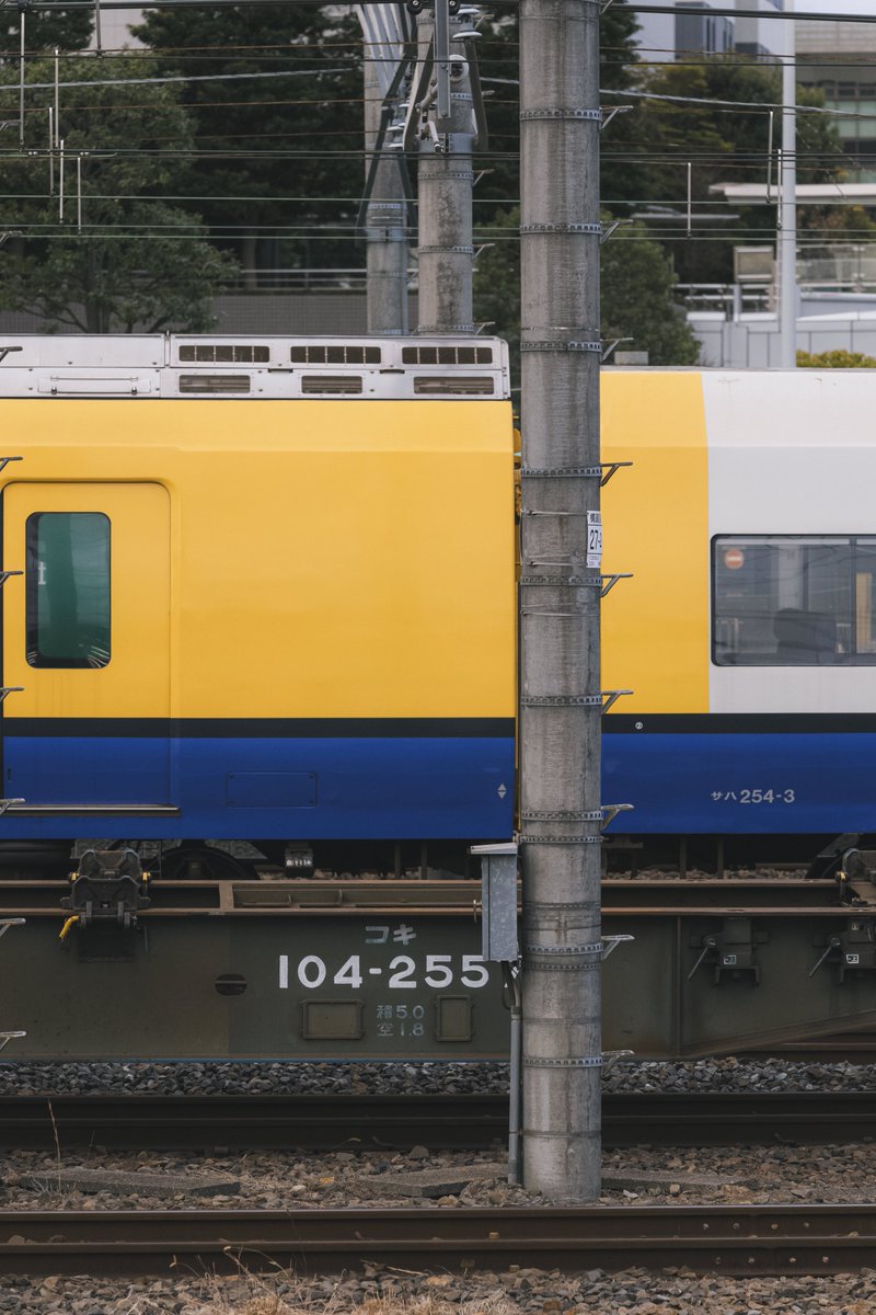 どんぶり tweet media