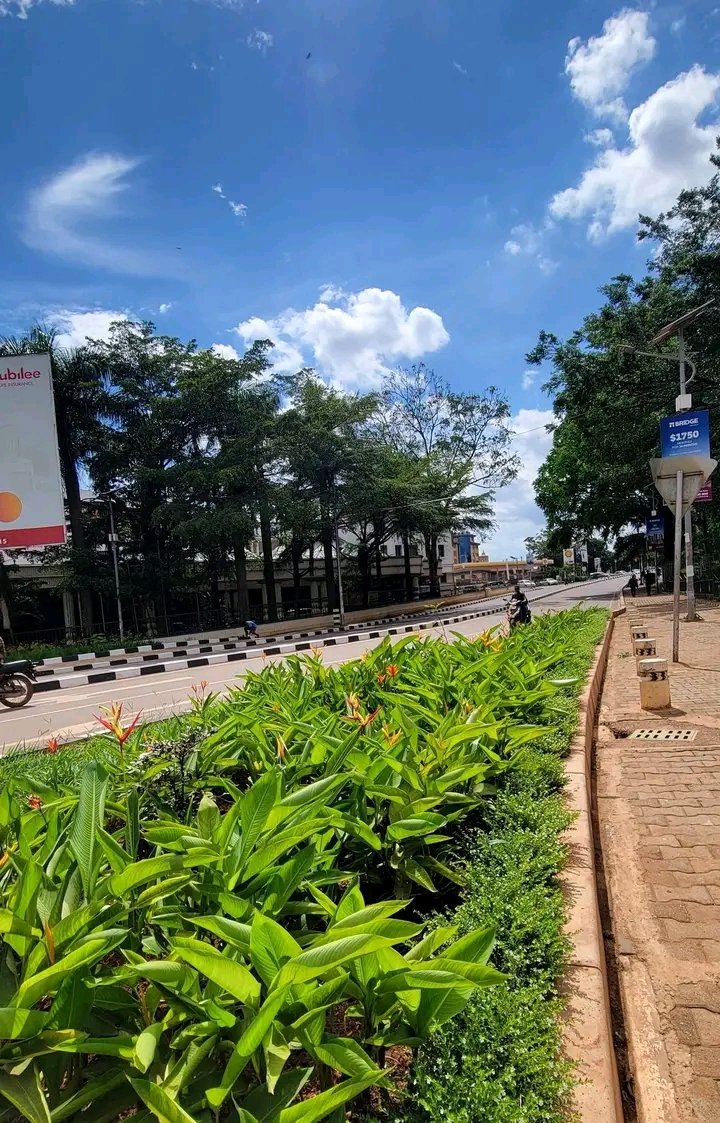 Erich Mboowa tweet media