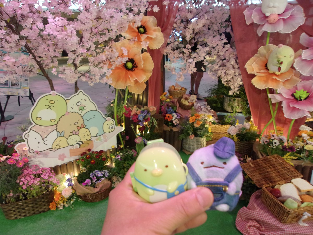 DOLLONDOMDOM tweet media