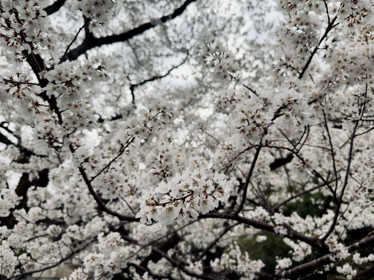 prashanth tweet media