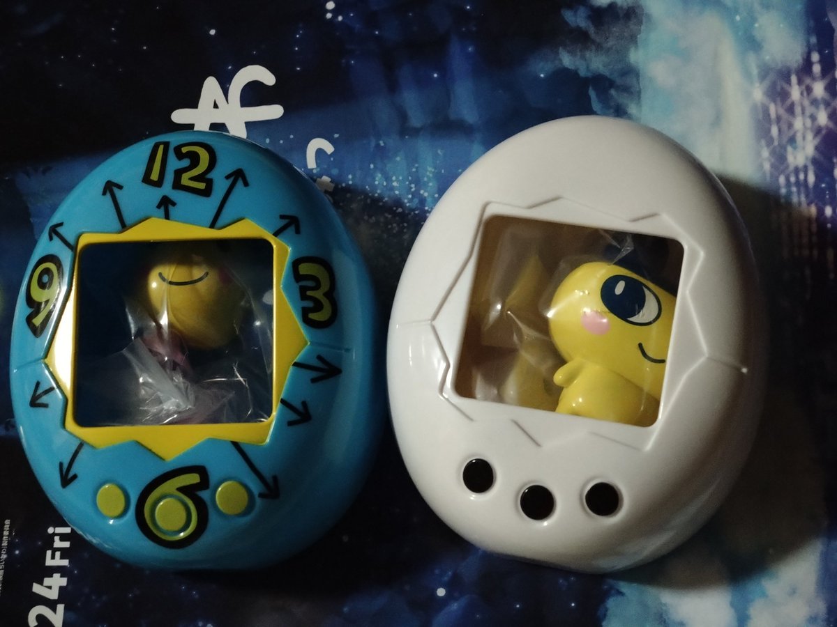 由良(〜'ω' )ヤハ〜 tweet media