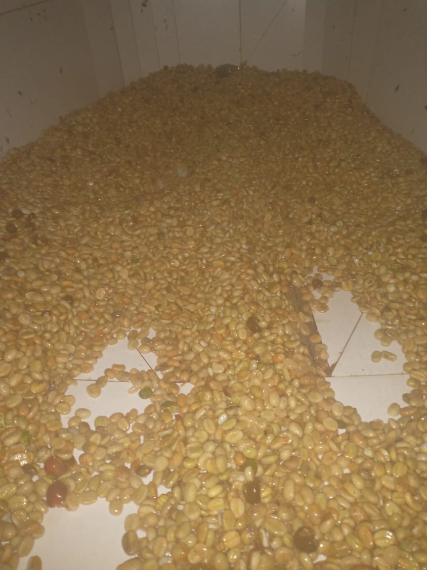 Admire Chamisa tweet media